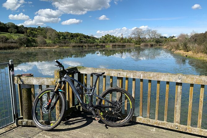 Auckland Half Day E-Bike Excursion - Why this 3.5–4 hour Auckland e-bike ride feels easier than it looks