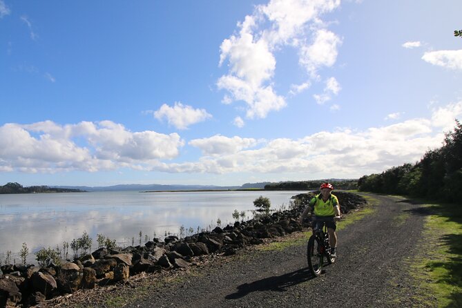 Auckland Half Day E-Bike Excursion - Stop 1 in Auckland: waterfront and a ride under the Harbour Bridge