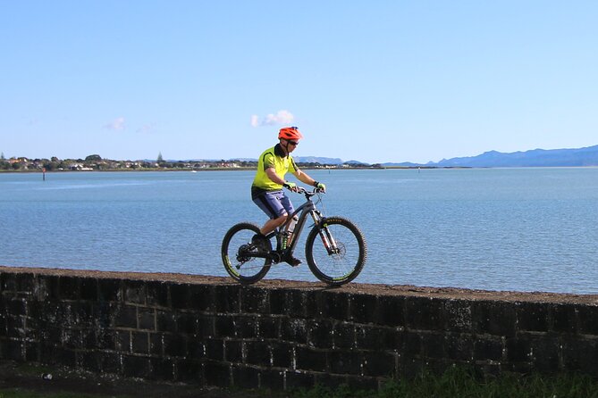 Auckland Half Day E-Bike Excursion - Western Springs Lakeside Park loop and the Museum of Transport and Technology