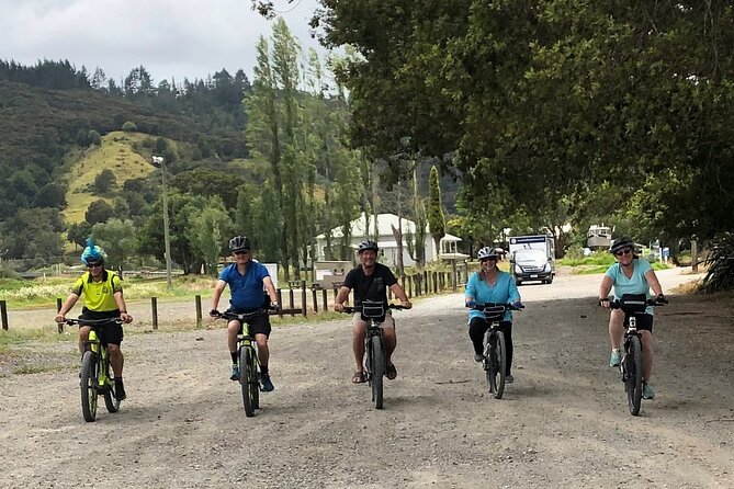 Auckland Half Day E-Bike Excursion - Henderson: riverside cycling on Henderson River, Opunuku stream, and the North-Western cycleway