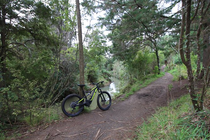 Auckland Half Day E-Bike Excursion - Price and value: what you’re really paying for at $93.09