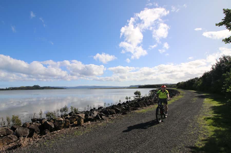 Auckland Half-Day Ebike Tour Excursion - Key highlights worth your attention