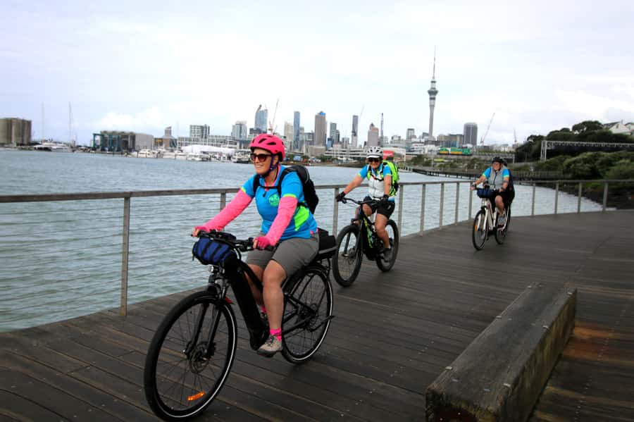 Auckland Half-Day Ebike Tour Excursion - A half-day Auckland loop that trades traffic for bike trails