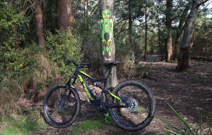 Auckland Half-Day Ebike Tour Excursion - Start at 136 Fanshawe St and roll under the Harbour Bridge