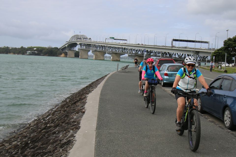 Auckland Half-Day Ebike Tour Excursion - Skill level and who this e-bike loop suits best