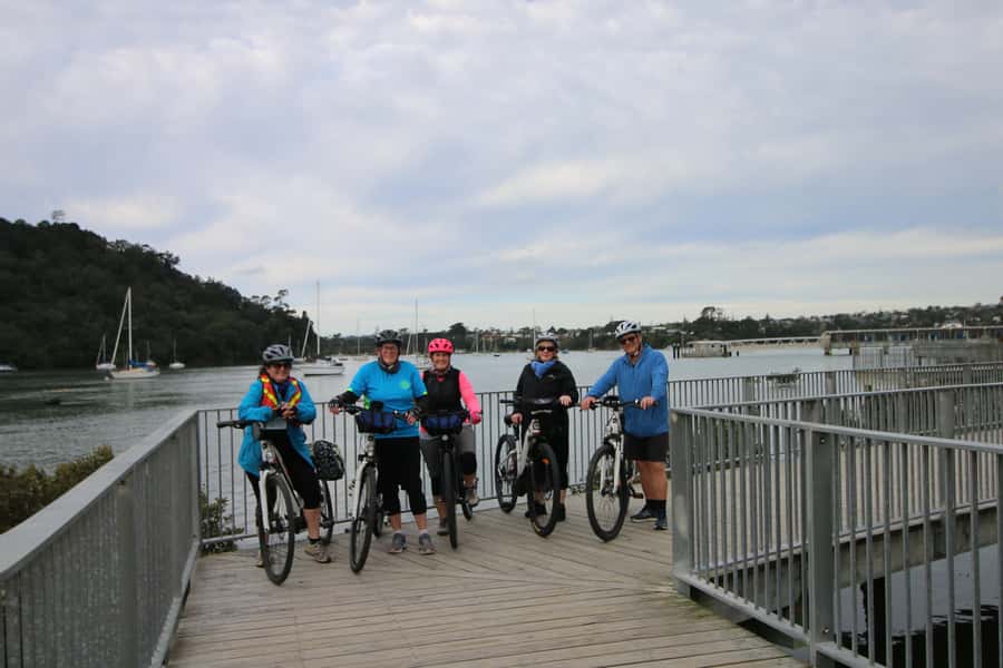Auckland Half-Day Ebike Tour Excursion - Price: is $89 worth 3.5 hours of guided e-bike touring?