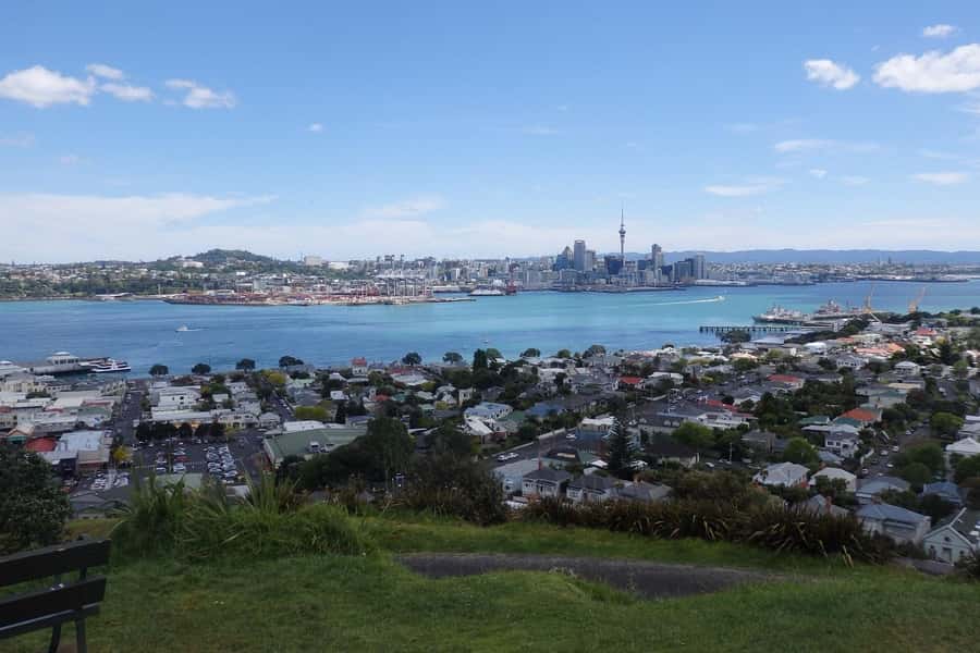 Auckland: Half-Day Scenic Sightseeing Tour - Price and What You Truly Get for $68