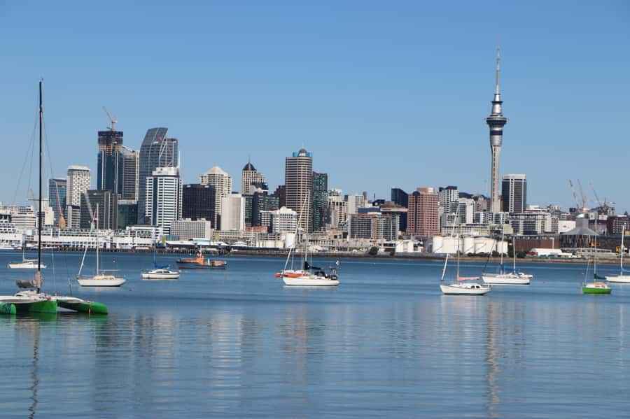 Auckland: Half-Day Scenic Sightseeing Tour - Harbour Bridge to Devonport: North Shore Views and the 1850 Vibe