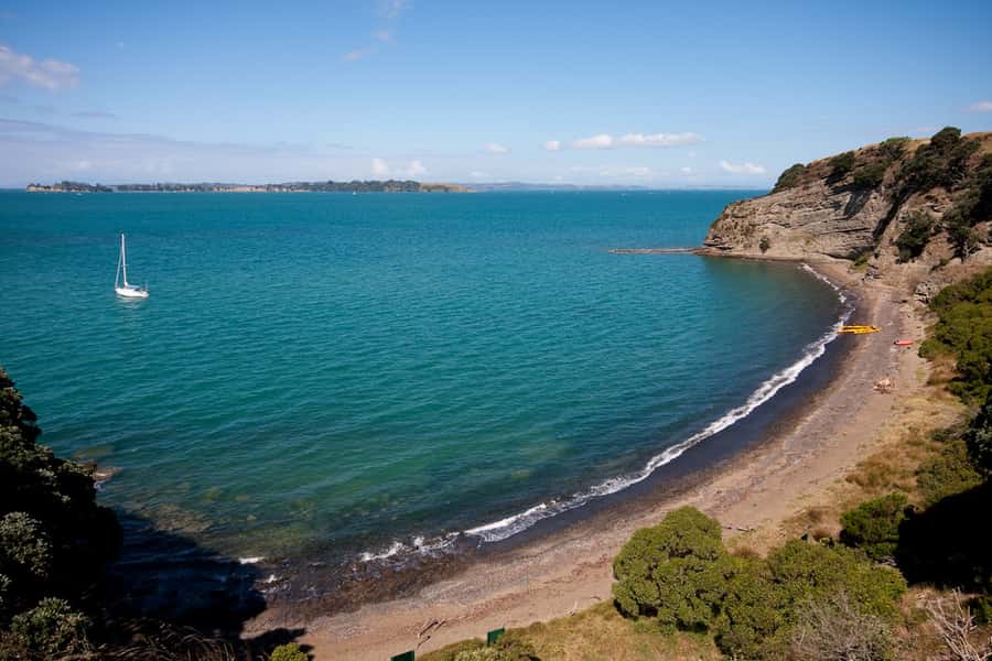 Auckland: Half-Day Sea Kayak Tour to Motukorea Island - Key takeaways before you go