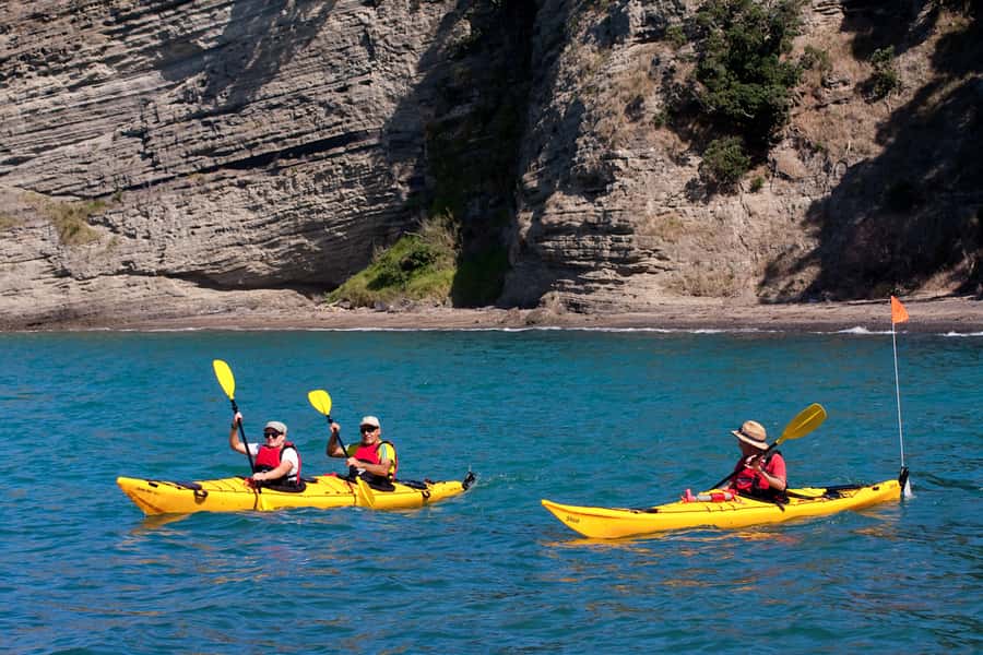 Auckland: Half-Day Sea Kayak Tour to Motukorea Island - Why Motukorea’s extinct volcano is a top reason to paddle