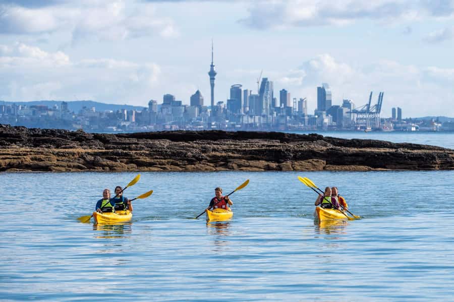 Auckland: Half-Day Sea Kayak Tour to Motukorea Island - Motukorea Island: landing, learning, and the summit reward