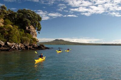 Auckland: Half-Day Sea Kayak Tour to Motukorea Island - The St Heliers launch: what your paddle day actually looks like