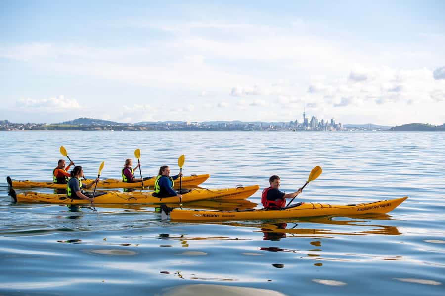 Auckland: Half-Day Sea Kayak Tour to Motukorea Island - Instruction that keeps first-timers steady (and not stressed)