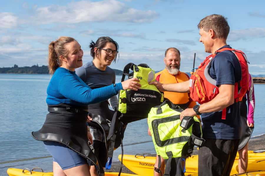 Auckland: Half-Day Sea Kayak Tour to Motukorea Island - Price and timing: does $116 feel fair?