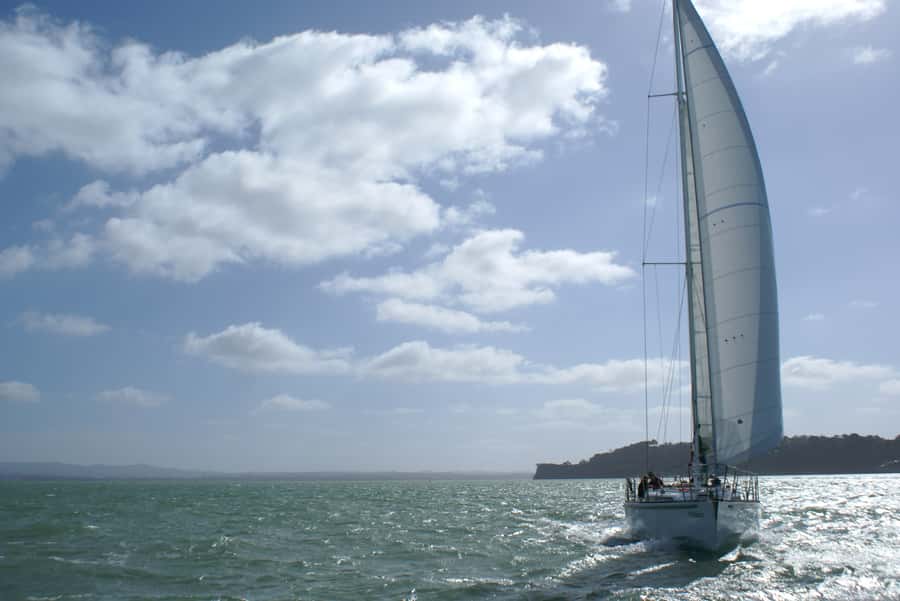 Auckland Harbour 1.5-Hour Sailing Cruise - Who this cruise suits best (and who should think twice)