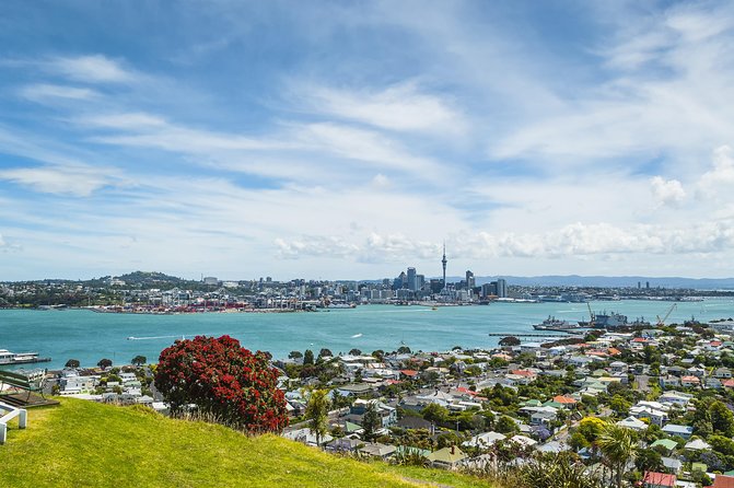 Auckland Harbour Cruise - Skyline Highlights on the Route: Sky Tower to the Harbour Bridge