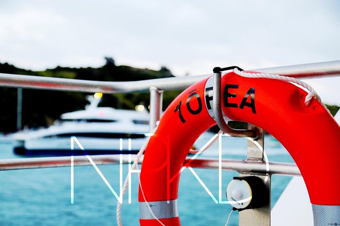Auckland Harbour Cruise - Who This Cruise Fits Best (and Who Might Want More)