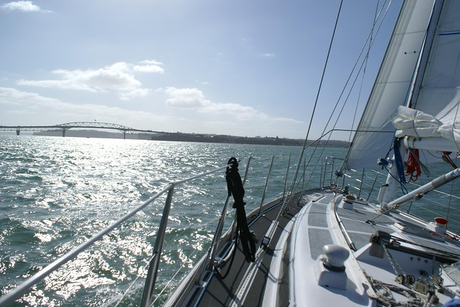 Auckland Harbour Sailing Experience - Helping With the Sailing: Taking the Helm Is the Big Win