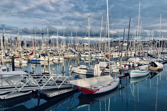 Auckland Highlight Attractions Small Group Tour - Mission Bay: Beach Energy, Rangitoto Views, and Easy Food Stops