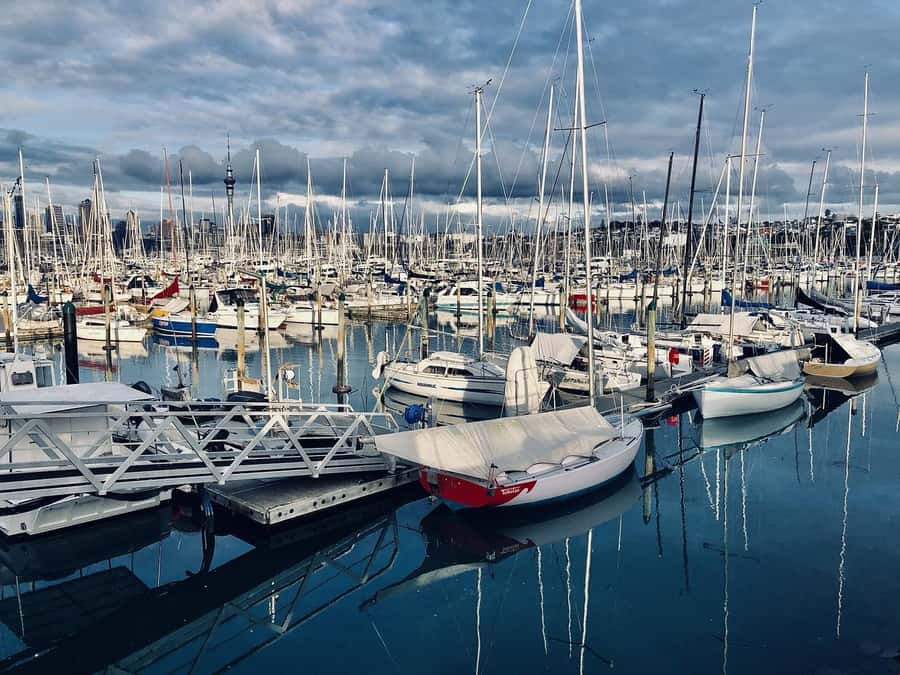 Auckland Highlight Attractions Small Group Tour - Who This Tour Fits Best (and Who Might Want More Time)