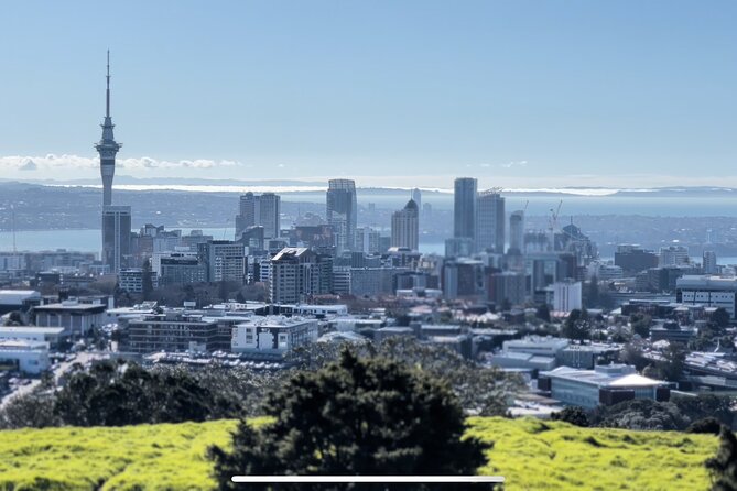Auckland Highlight Fullday City Tour - Price and what you actually get for $186.17