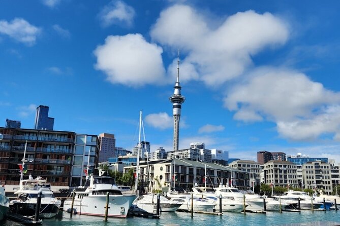 Auckland Highlights Full Day Guided Tour - Quick hits before you go