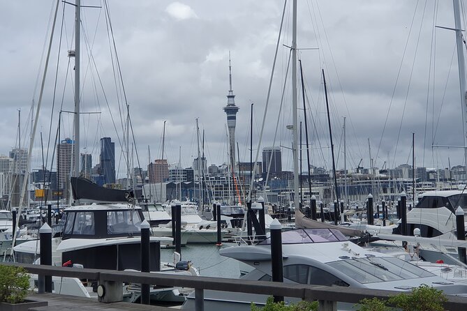 Auckland Highlights Full Day Guided Tour - Getting There: 9:00 am at 107 Quay Street and How the Day Moves