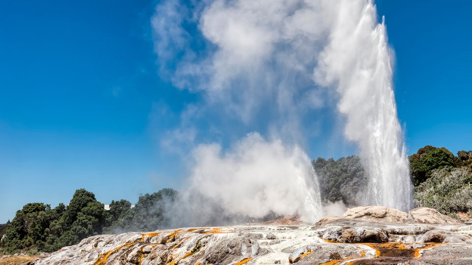 Auckland: Hobbiton and Rotorua Day Tour including Te Puia - Who This Tour Fits Best (and Who Should Skip)