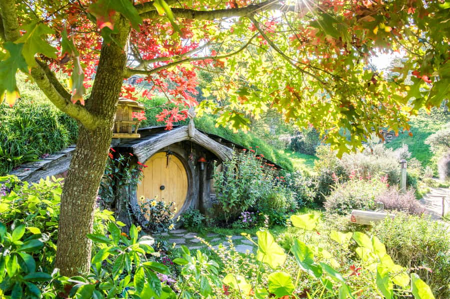 Auckland: Hobbiton Movie Set Tour with Lunch - Shire’s Rest Arrival and the Green Dragon Inn Drink
