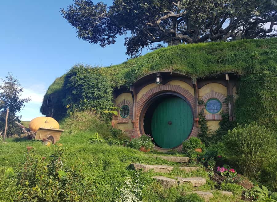 Auckland: Hobbiton, Rotorua, Waiotapu and Waitomo 3-Day Tour - Sunrise pickup from Auckland: how the logistics set your tone