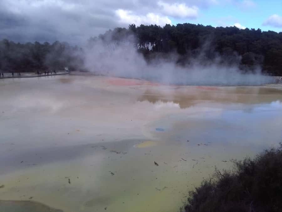 Auckland: Hobbiton, Rotorua, Waiotapu and Waitomo 3-Day Tour - Rotorua essentials: Te Puia buffet lunch and the Mitai cultural evening