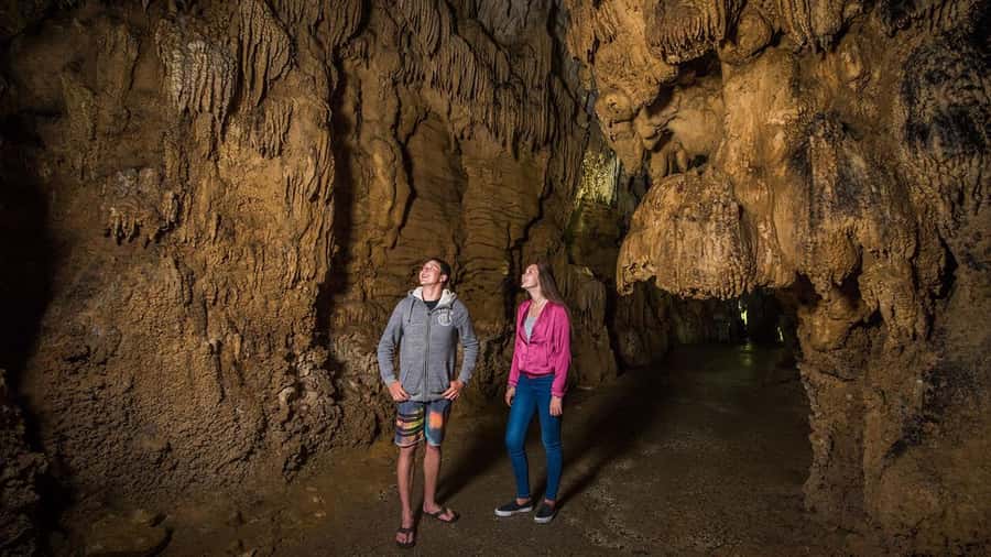 Auckland: Hobbiton, Waitomo Caves, and Rotorua 1-Way Tour - Price and Value: Is $256 a Good Deal for Three Major Stops?