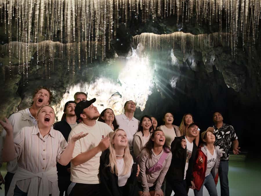 Auckland: Hobbiton & Waitomo Caves Small-Group Tour & Lunch - Timing, Comfort Stops, and What the 13 Hours Feels Like