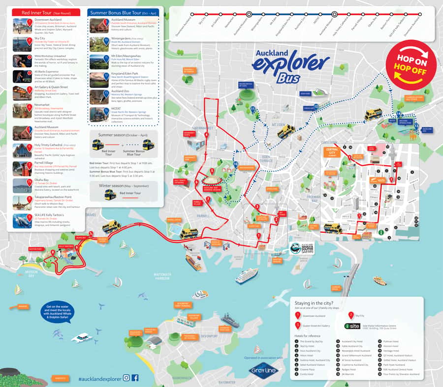 Auckland: Hop-On Hop-Off Explorer Bus Ticket - Blue Outer Tour: Domain, Mt Eden, Zoo, and MOTAT (Summer Only)