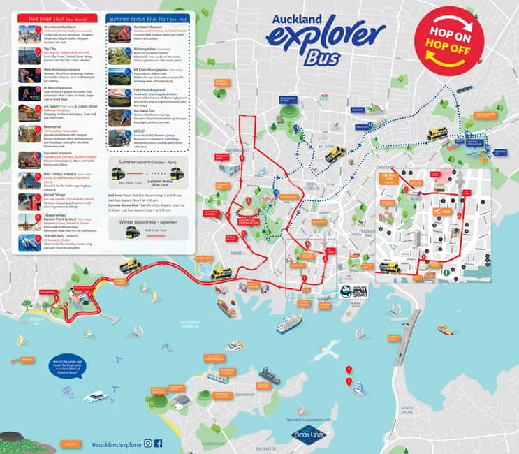 Auckland: Hop-On Hop-Off Explorer Bus Ticket - Planning Your Day: Avoiding Long Waits and Building a Smart Loop