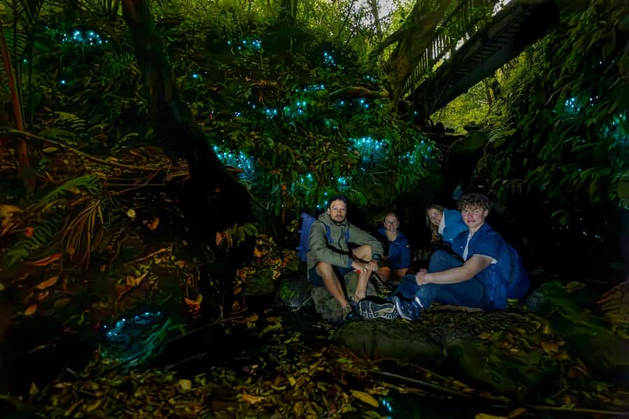 Auckland: Inner-City Glowworm Experience in Ancient Volcano - Entering Auckland Domain’s Pukekawa volcano at night