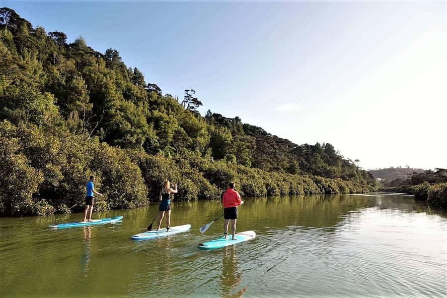 Auckland: Lucas Creek Waterfall SuP Tour - Why Albany’s Lucas Creek Route Works So Well for First-Time SUP
