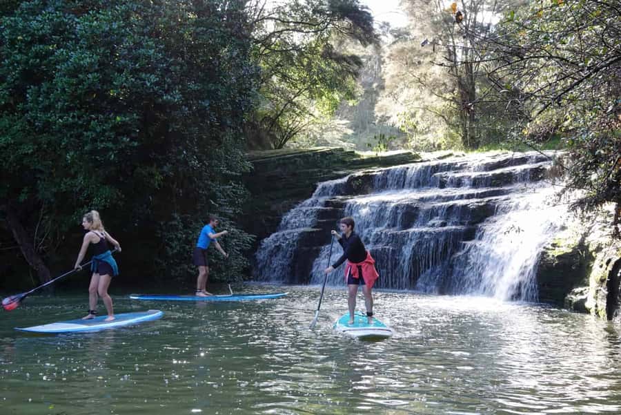 Auckland: Lucas Creek Waterfall SuP Tour - From Mangroves to Waterfall: How the Lucas Creek Paddling Plan Feels in Motion