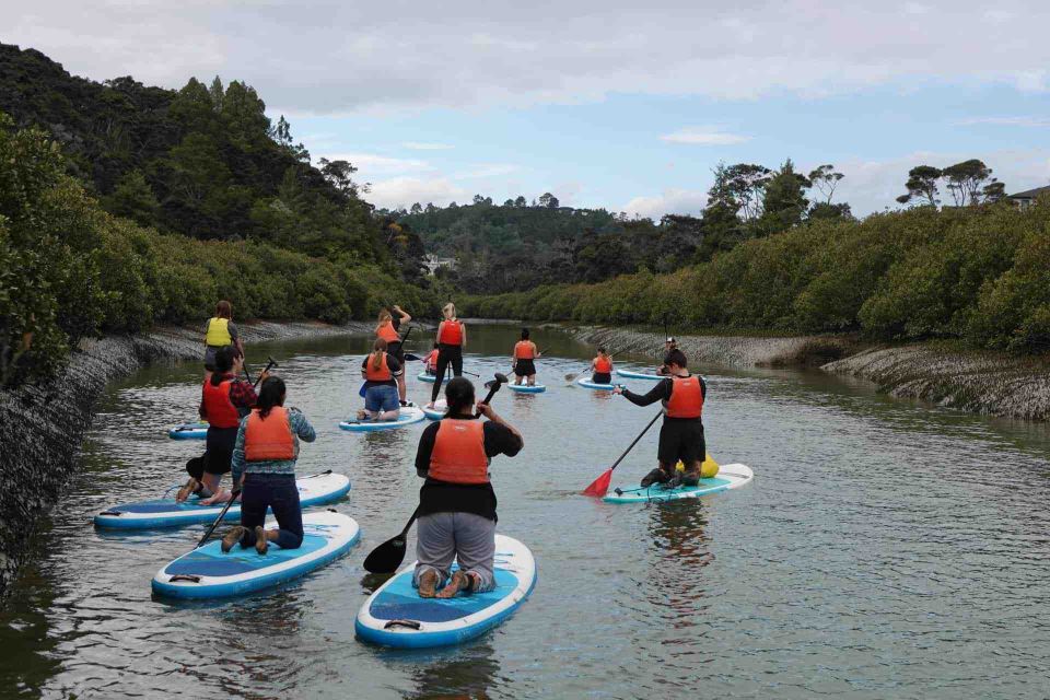 Auckland: Lucas Creek Waterfall SuP Tour - What to Bring for Warmth and Comfort (Without Overpacking)