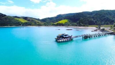 Auckland: Man O' War Vineyard Ferry (Waiheke Island) - Timing That Works: Morning Departure and a Long Vineyard Block