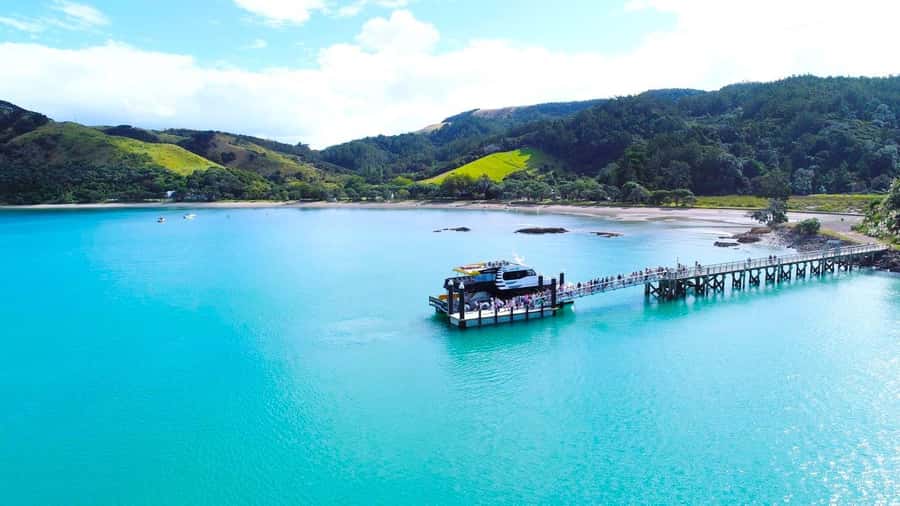 Auckland: Man O' War Vineyard Ferry (Waiheke Island) - Timing That Works: Morning Departure and a Long Vineyard Block