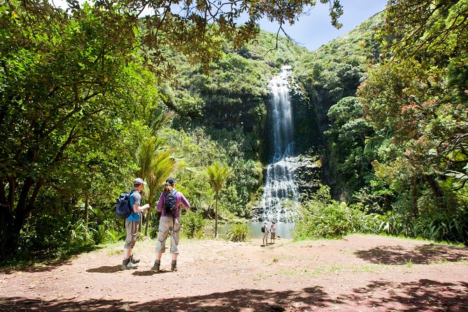 Auckland Maori Tour - A Full-Day Maori Auckland Tour That Explains the Places