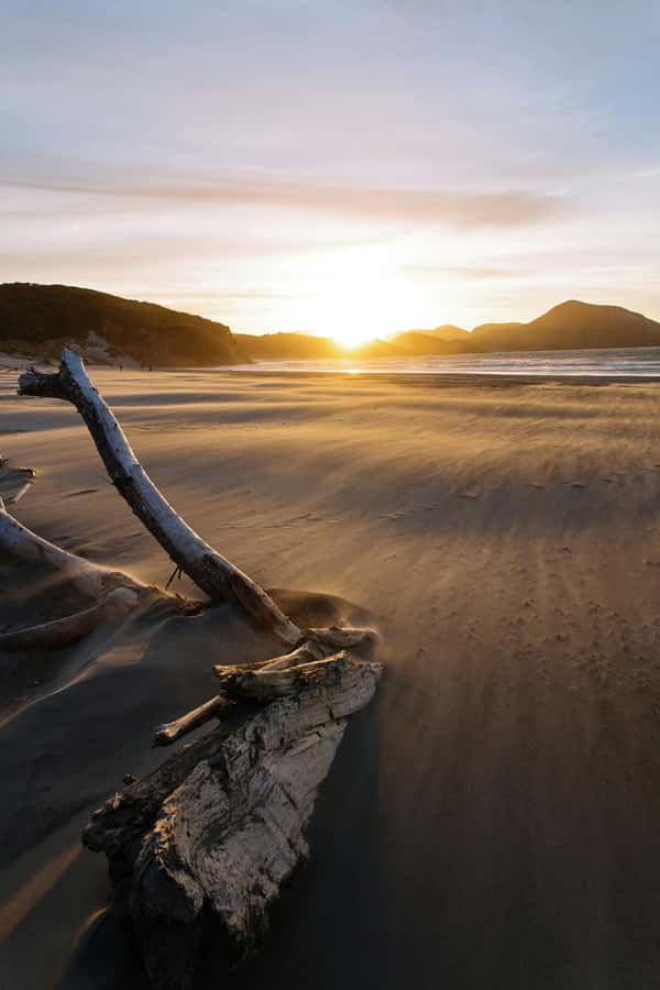 Auckland: Mt. Eden, Piha Beach & Karekare Private Tour - Auckland’s Volcanic to Coastal Color: The Core Idea