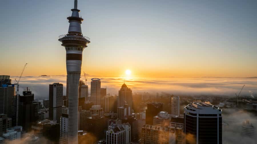 Auckland: Mt. Eden, Piha Beach & Karekare Private Tour - Flexible Start Time: Why It Changes Everything
