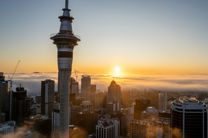 Auckland Museum and Highlight Sightseeing Tour - Key Highlights at a Glance