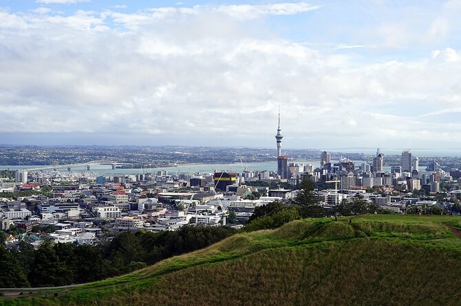 Auckland Museum and Highlight Sightseeing Tour - Stop 2: Maungawhau / Mount Eden for Volcanic Views