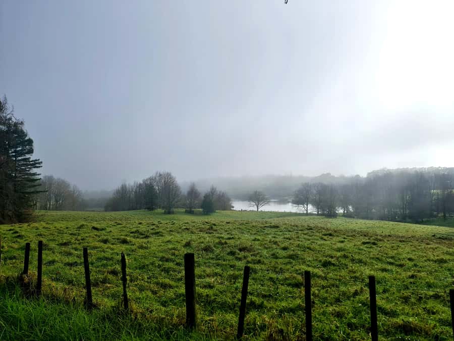 Auckland Nature Tour - Should you book this Auckland nature tour?