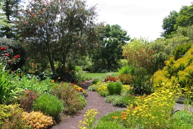 Auckland Nature Tour - Mt Eden: getting your bearings with a real 360-degree view