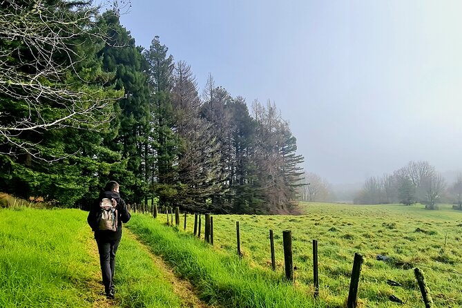 Auckland Nature Tour - Pickup and getting to the starting point from Auckland CBD