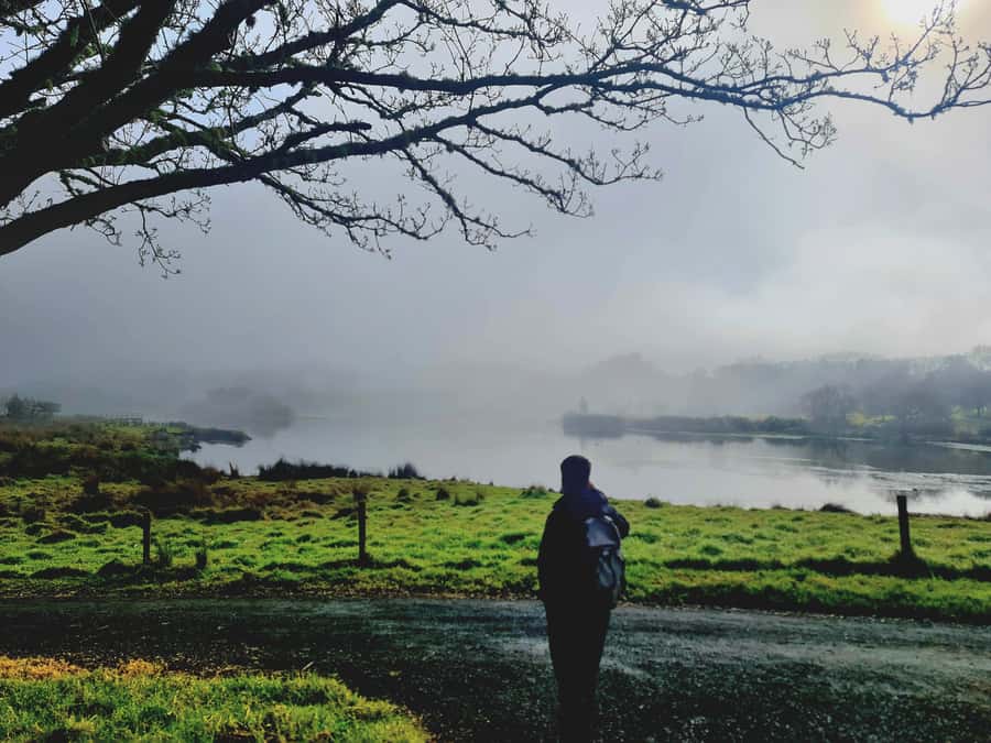 Auckland Nature Tour - Who this Auckland nature tour suits best